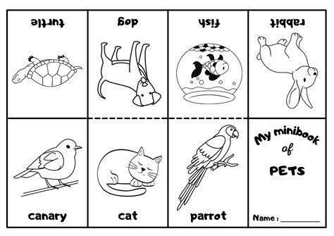 Pets Mini Coloring Book