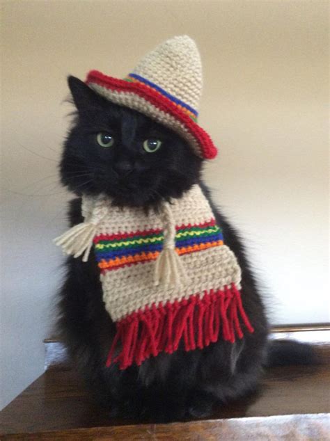 Cinco De Mayo Sombrero Poncho Hats For Cats Cat Costumes Etsy