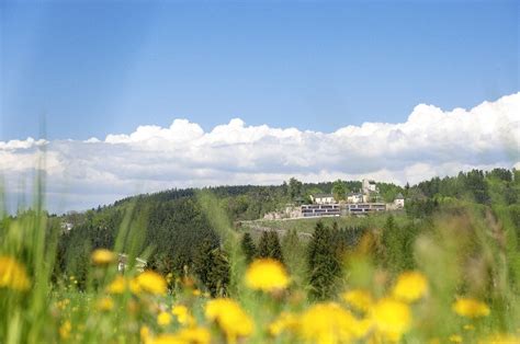 Burg Schatzkammer Herzlich Willkommen In Bad Kreuzen