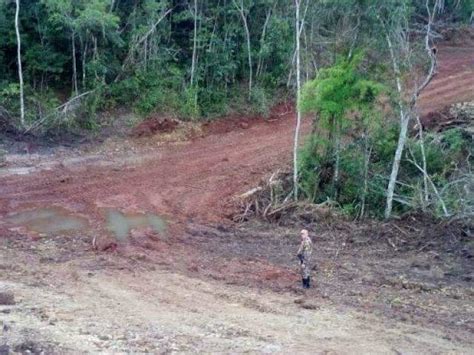 Fazendeiro é multado em R 37 mil pelo desmatamento ilegal de 90