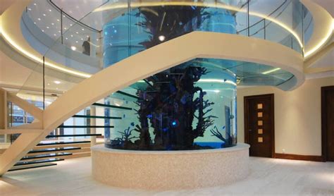 Helical glass staircase around giant fish tank diapo モダンスタイルの 玄関 廊下 階段