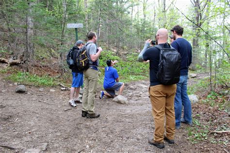 Artists Bluff Trail Franconia Notch State Park Hiking For Donuts