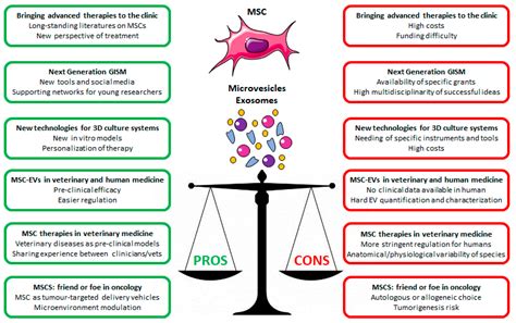 Ijms Free Full Text State Of The Art And New Trends From The