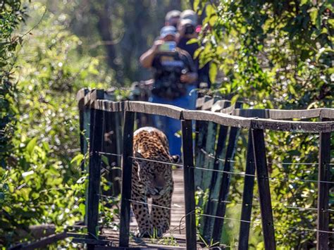 Day Use Fazenda San Francisco L Pantanal L Acqua Viagens