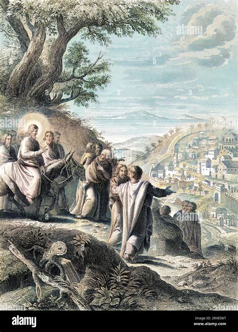 Jesus Weeps Over Jerusalem Colored Illustration For The Life Of Our Lord Jesus Christ Written