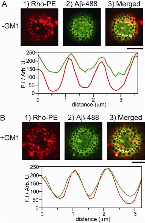 Figure S Detection Of A Membrane Interaction Where A Oligomer