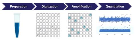 What Is Digital PCR Learn About The Advantages Of DPCR