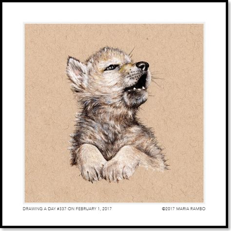 Mexican Gray Wolf Pup (First Edition) – Rambillo Marketplace