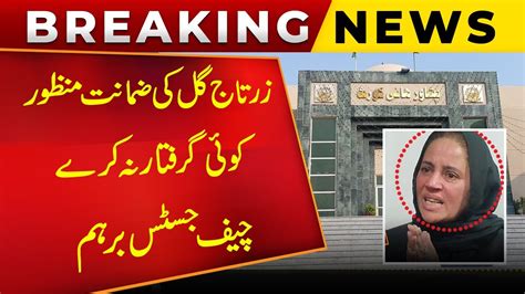 Pti Leader Zartaj Gul Bail Approved Cheif Justice Peshawar High Court