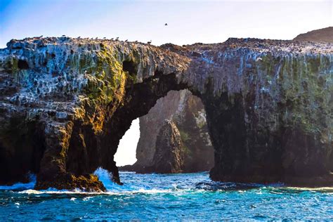 Explore California S Channel Islands National Park By Kayak