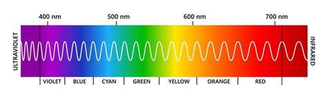 Visible Light Spectrum Vector Art, Icons, and Graphics for Free Download