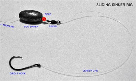 Slip Sinker Rig A Catfishing Essential Usangler