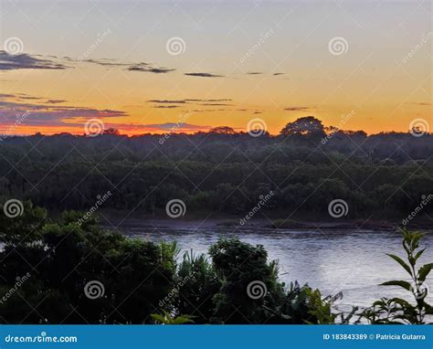 Sunrise In The Amazon Rainforest Stock Photography | CartoonDealer.com ...