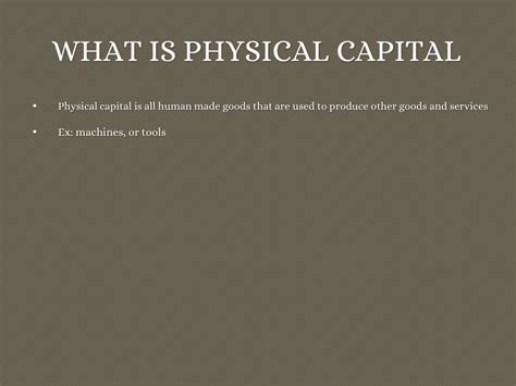 Physical Capital by Challie Haft