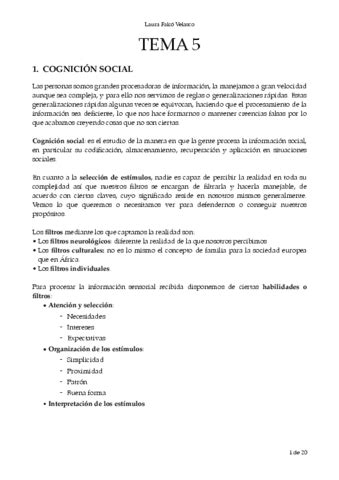 Mapa Conceptual PMI Psico I T5 Pdf