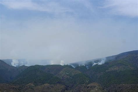 Thousands Of Evacuees Return Home As Tenerife Wildfire Eases Theprint