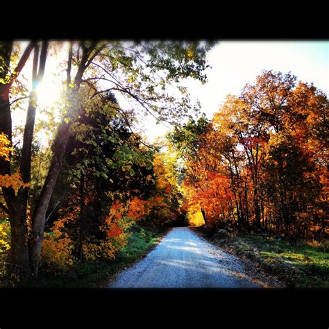 Fall in Indiana. | Favorite places, Vacation, Photography