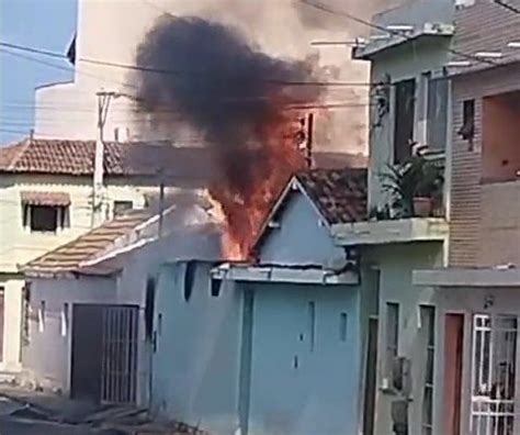 Vídeo Homem tenta colocar fogo em colmeia de abelhas e incendeia