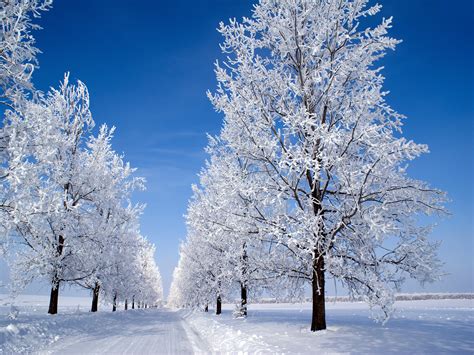 🔥 [50+] Country Snow Scenes Wallpapers | WallpaperSafari