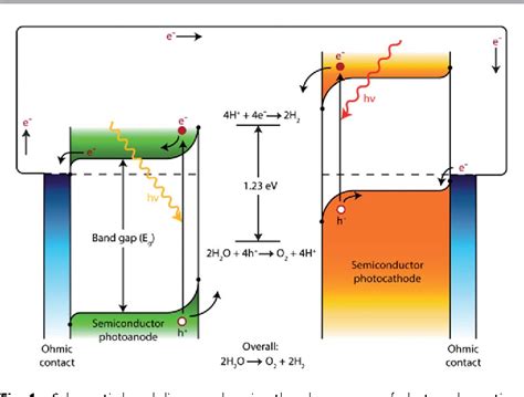 PDF Technical And Economic Feasibility Of Centralized Facilities For