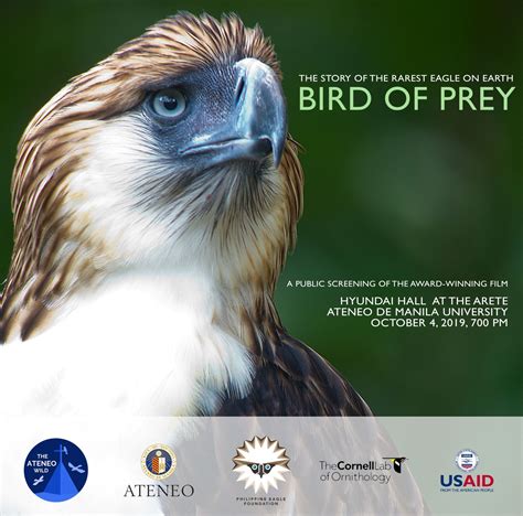 Philippine Eagle Foundation Logo