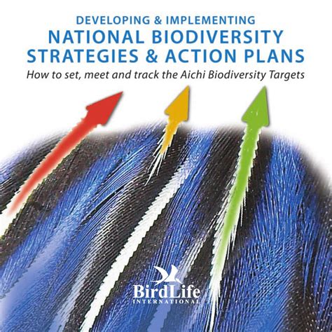 Developing And Implementing National Biodiversity Strategies And Action