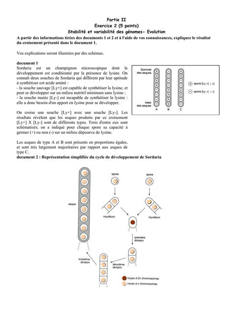 Stabilité et variabilité des génomes et évolution