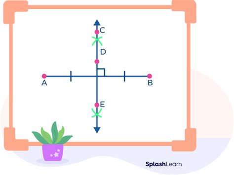 Segment Bisector - Definition, Types, Examples, Facts, FAQs