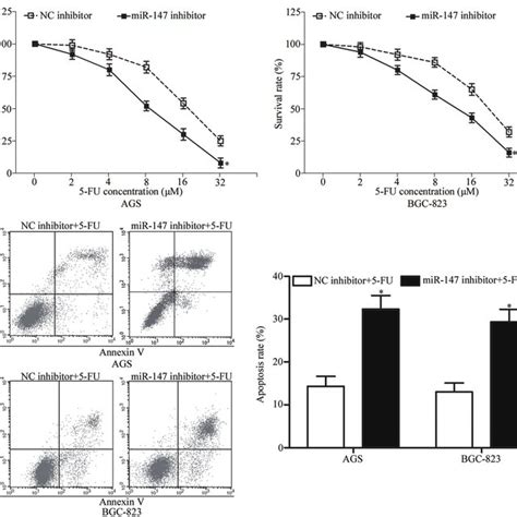 Microrna Mir Is Upregulated In Gastric Cancer Tissues And