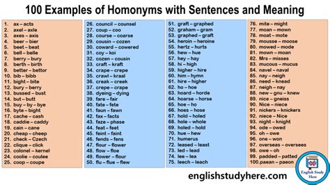 100 Examples Of Homonyms With Sentences And Meaning English Study Here