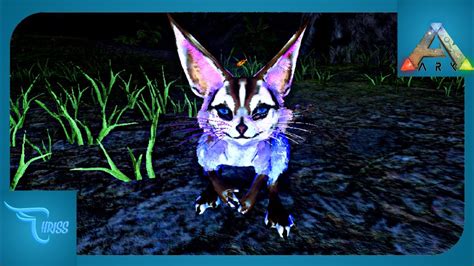 Akhirnya Bisa Taming Jerboa Level Besar Eps Ark Mobile Indonesia