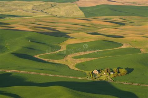 Palouse Wheat Fields at Sunset Stock Photo - Image of steptoe, farm ...