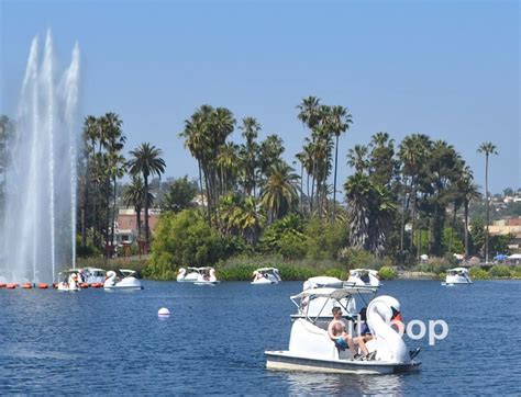 10 BEST Things to do at Echo Park Lake - CityBOP