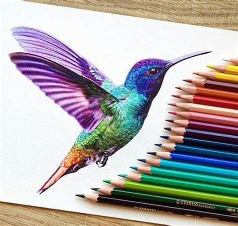 10 советов по рисованию цветными карандашами поэтапно начинающим