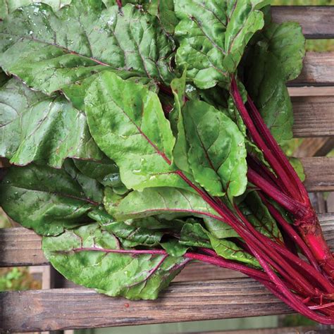 How To Cook Beet Greens Simple Easy To Do