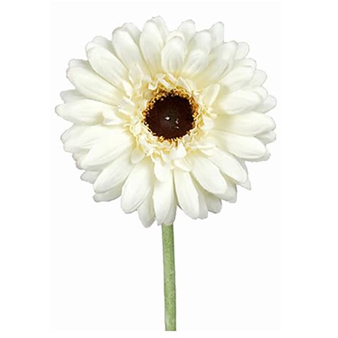 Kunstig Gerbera Stilk Cm Cm Hvid