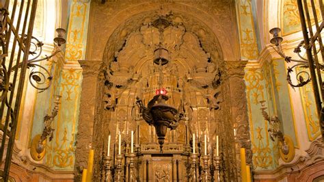 Porto Cathedral Pictures: View Photos & Images of Porto Cathedral