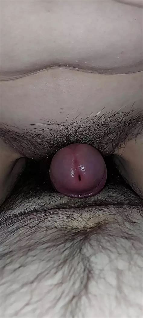 Serbian Porn Videos XHamster