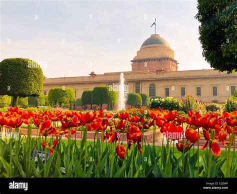 Mughal garden, New Delhi, India Stock Photo - Alamy