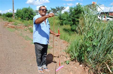 mato alto moradores enfrentam invasão de cobras e escorpiões