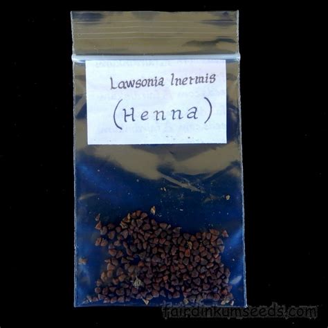 Henna Meyhndi Lawsonia Inermis Seed Fair Dinkum Seeds