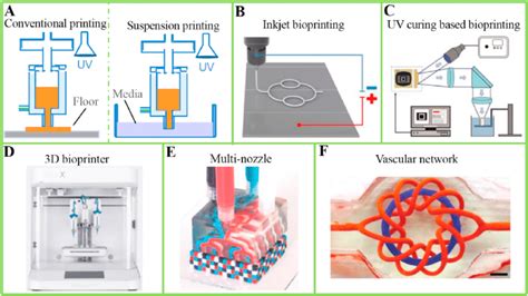 Schematic Diagram Of Common 3D Bioprinting Technologies Bioprinting