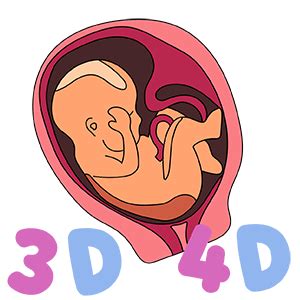 3D and 4D Ultrasound Near me | 3D 4D HD Ultrasound