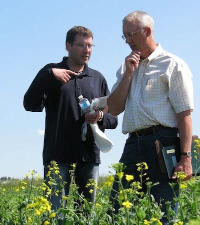 Ultimate Canola Challenge Canola Council Of Canada