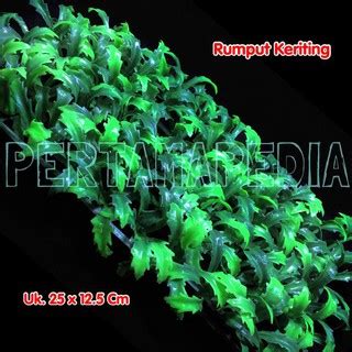 Jual Rumput Artificial Rumput Aquarium Rumput Hias Sintetis Shopee