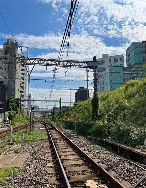 秋の空 高田なみの歌ブログ