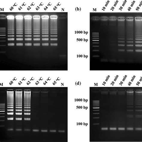 Pdf Development Of A Rapid Screening Test For Listeria Monocytogenes