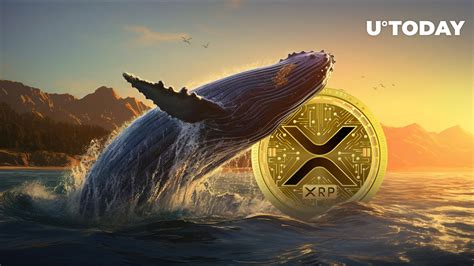 Xrp Whales Are Responsible For This Price Increase But There S More