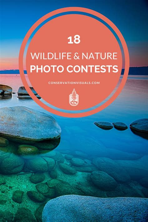 18 Wildlife Nature Photo Contests To Enter Photography Contests