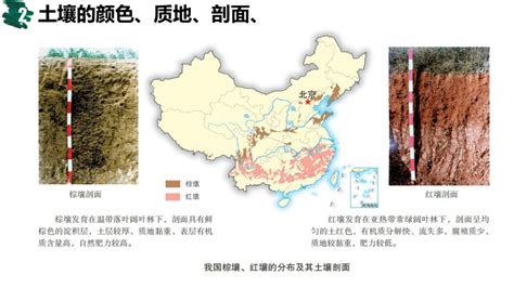 2023届高三地理新高考一轮复习课件 专题22：土壤（46张）21世纪教育网 二一教育